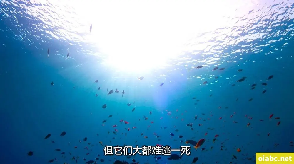 亚洲欧洲另类剧照3
